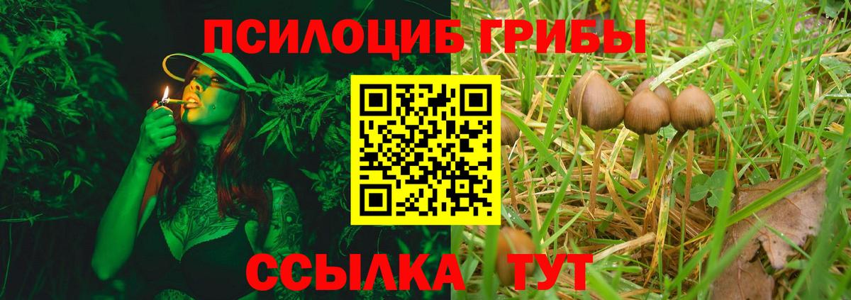 Хасавюрт  Галлюциногенные грибы MAGIC MUSHROOMS  Вход с VPN 