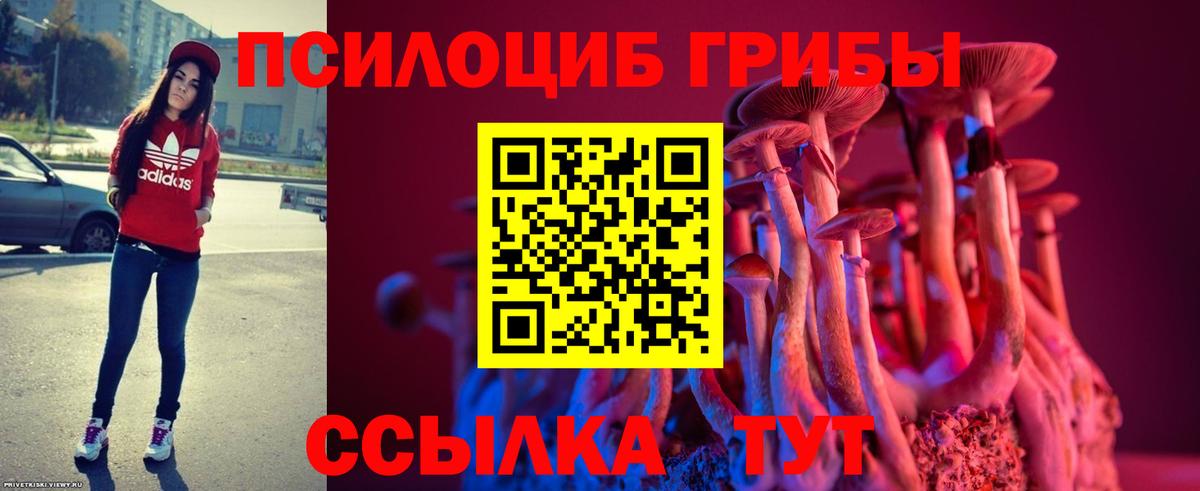 Галлюциногенные грибы Psilocybine cubensis Хасавюрт
